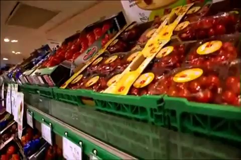 Tomate, à la recherche du goût perdu