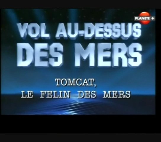 Tomcat, le félin des mers