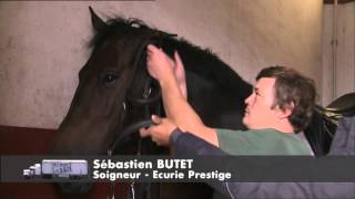 C’est pas sorcier – Le Cadre Noir : les sorciers montent sur leurs grands chevaux