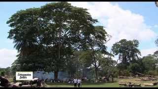 Echappées belles – Madagascar : l’île rouge