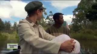 Echappées belles – Madagascar