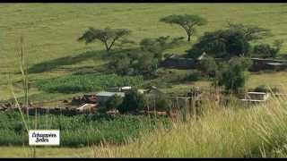 Afrique du Sud : en terre Zoulou