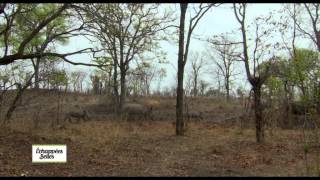 Documentaire Echappées belles – Zambie, un pays, un fleuve, des traditions