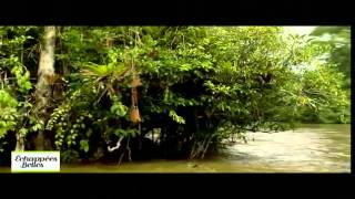 Echappées belles - Guyane