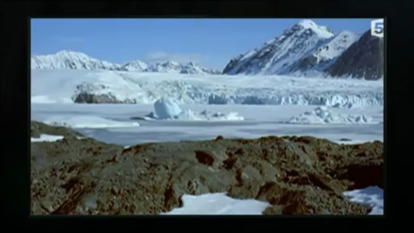 Tueurs nes, l'ours polaire