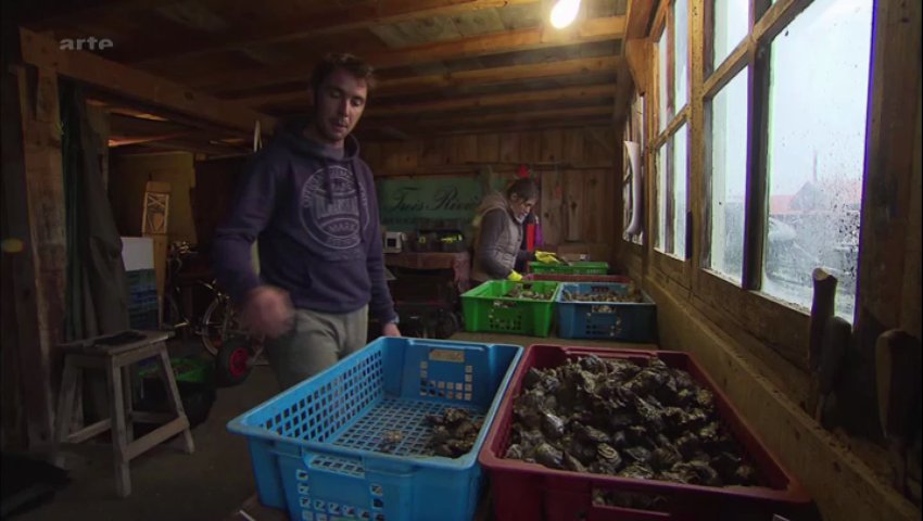 Documentaire Arcachon – Le berceau des huîtres