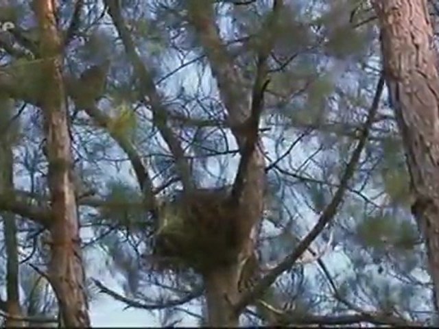 Documentaire Cuba le parc national Humboldt – Au pays des colibris