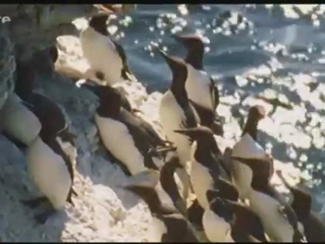 La mer Baltique - De la Lituanie au Danemark