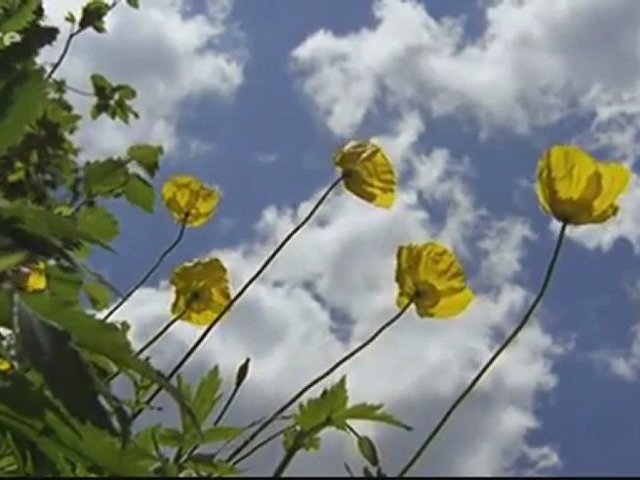 La face sauvage des Pyrénées - La saison des lumières