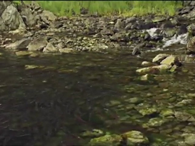 Documentaire Le requin tueur des glaces