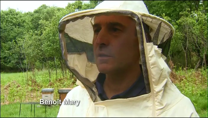 Les secrets de la ruche