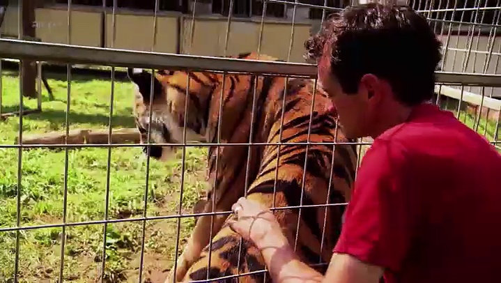 Xenius – Peut-on apprivoiser les animaux sauvages ?