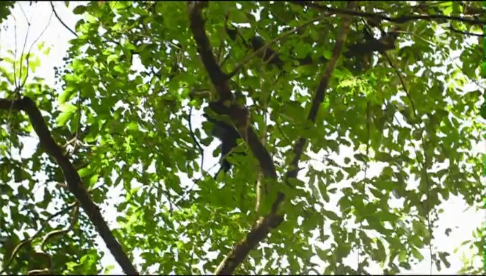 Sri Lanka, l'île précieuse