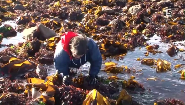 Documentaire Terre des mondes- Les îles bretonnes