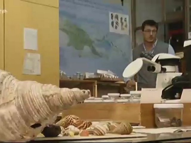 Xenius - Tout savoir sur les escargots