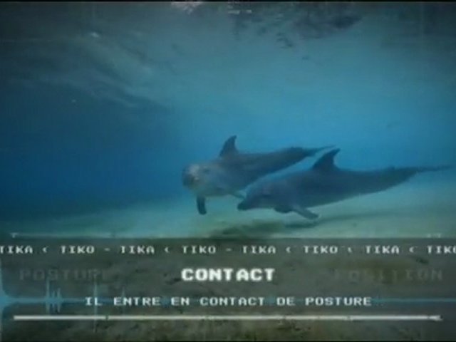 Grandeurs nature - Vacarme en haute mer