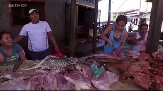 Pérou : l’eldorado gastronomique ?