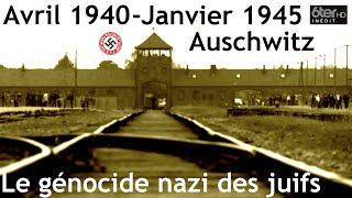 Auschwitz : voyage au bout de l'enfer
