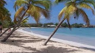 Les Antilles, découverte des paysages paradisiaques de Martinique