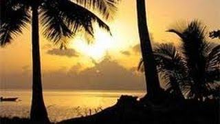Documentaire Les Antilles, découverte des splendides paysages de la Guadeloupe