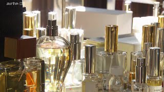 Secrets de parfumeurs