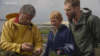 Xenius – Fruits de mer… à deguster les yeux fermés