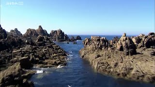 Le phare breton et les abeilles