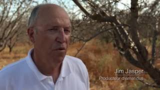 Documentaire Lutter contre la sécheresse – Des réponses innovantes