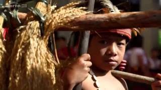 Les rizières célèstes des Philippines