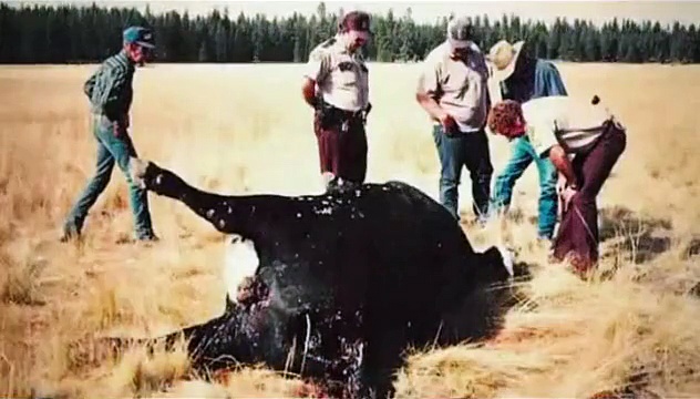 Documentaire Chasseurs d’ovnis – Prélèvements extraterrestres