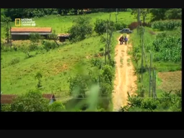 Chasseurs d'ovnis - Des aliens dans la jungle