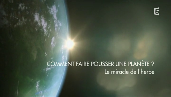 Comment faire pousser une planète ? –  3 – Le miracle de l’herbe