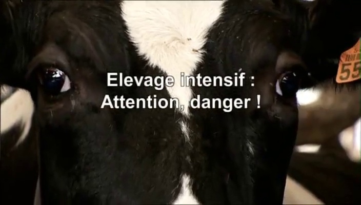 Documentaire Elevage intensif : attention, danger !