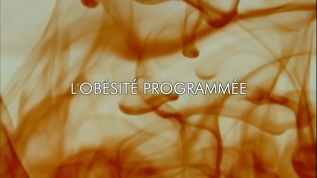 Documentaire L’obésité programmée
