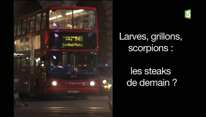 Documentaire Larves, grillons, scorpions : les steaks de demain ?