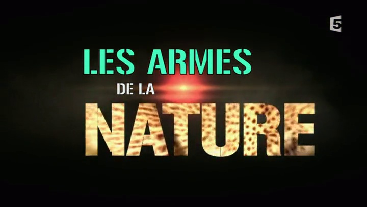 Les armes de la nature – Becs & ongles