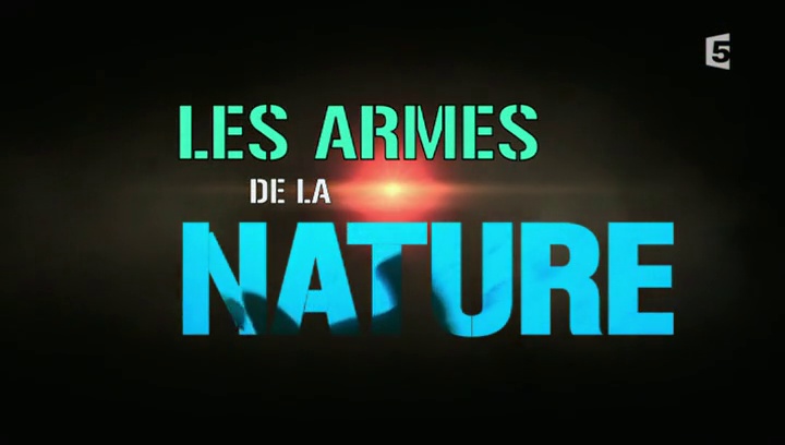 Documentaire Les armes de la nature – Les forces invisibles