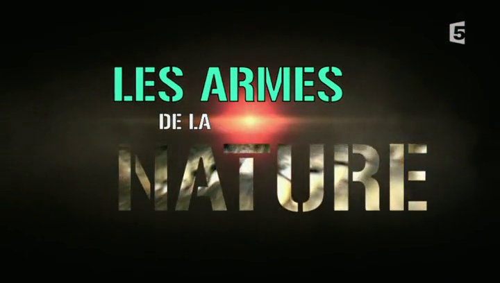 Les armes de la nature - Le bruit & la fureur