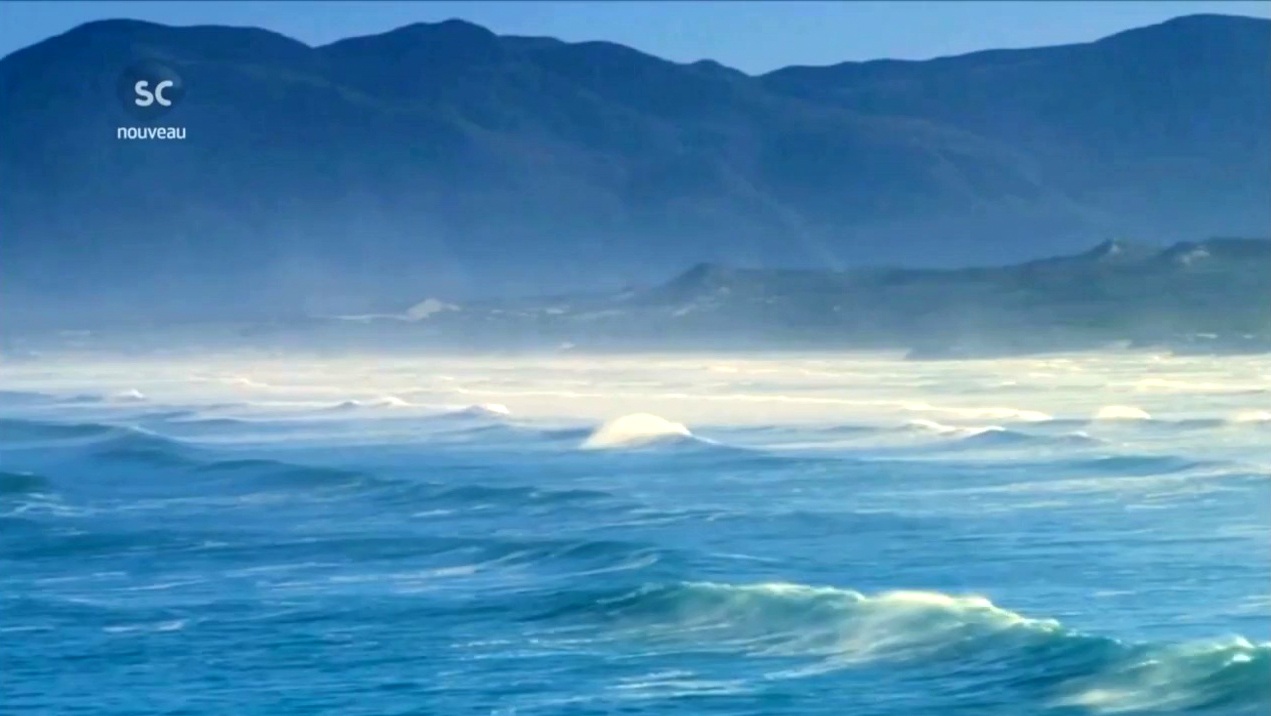 Documentaire Voyage dans l’Espace-Temps – L’océan est-il un être pensant?