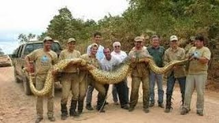 Documentaire Chasseur de venin