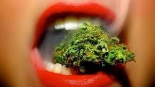 Les paradoxes du cannabis