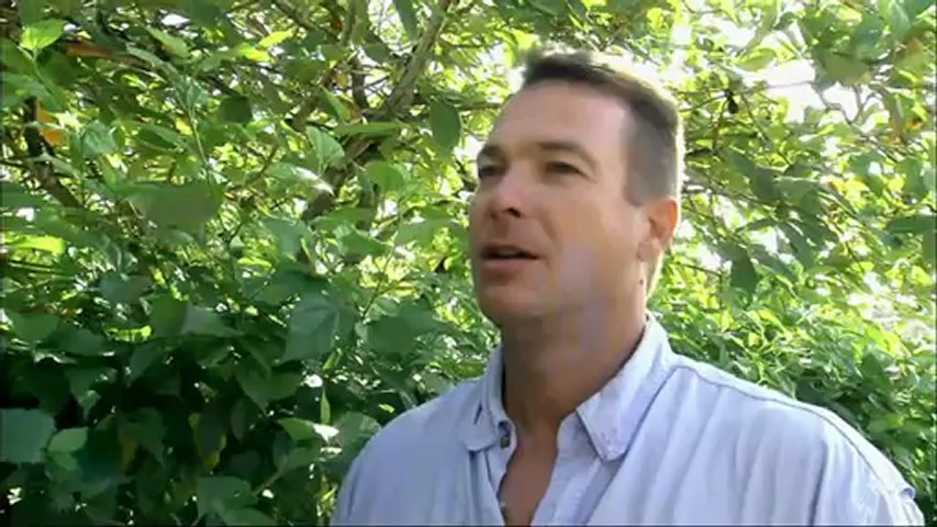 Chasseurs de pythons : l'île infestée de pythons