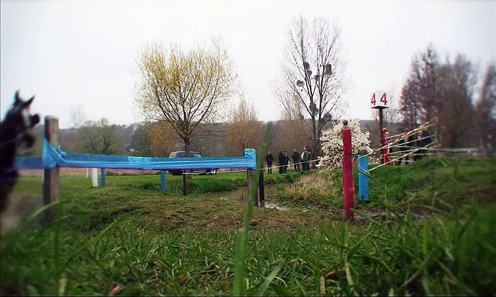 Les joie de l’attelage