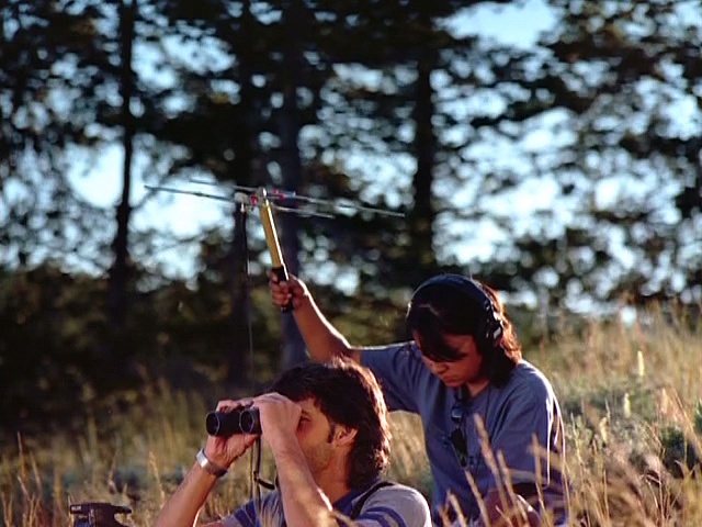 Documentaire Loups