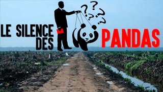 Documentaire Le silence des pandas (ce que le WWF ne dit pas)