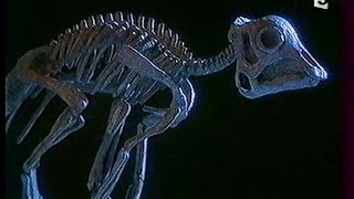 Documentaire Les bébés dinosaures