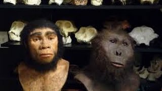 À la poursuite des origines de l'humanité