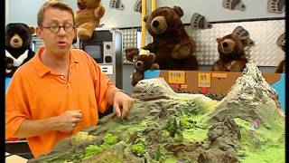 C'est pas sorcier - Les ours