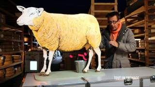 C’est pas sorcier – Tout un fromage