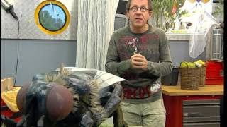 C'est pas sorcier - Les sorciers prennent la mouche